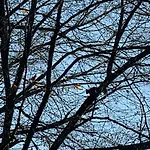 Les Terrasses De 22 341 *